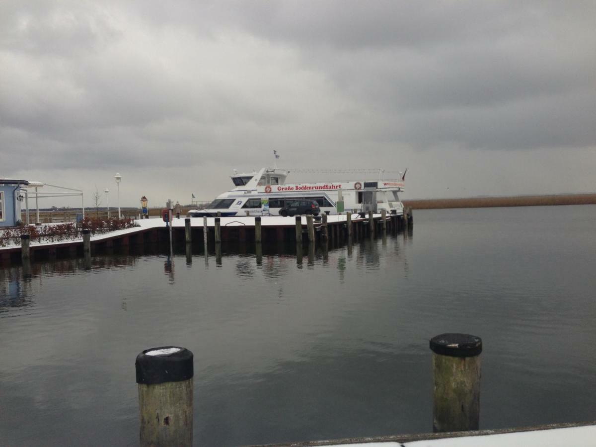 Fewo Am Alten Hafen - Zingst Ostseebad Exterior foto